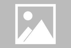 多米体育app关于纽卡斯尔发布备战花絮，加时末段内部沟通，欧联任务艰巨，训练强度明显提升的信息