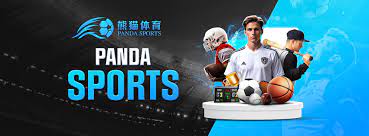 多米体育 - 多米体育官网 | DUOMI SPORTS 官方正版网站