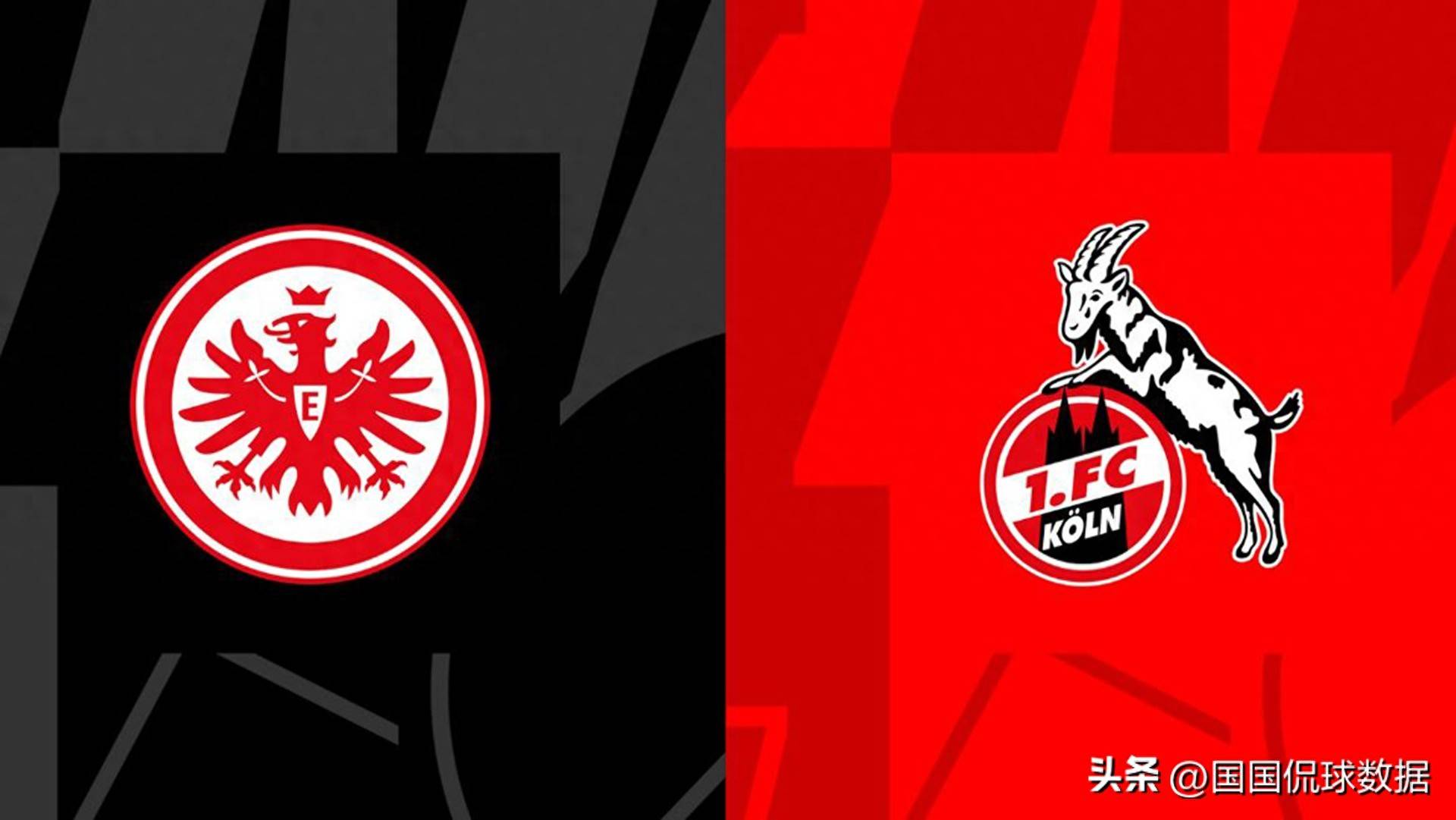 法兰克福迎德甲关键赛，赛前更衣室发声，管理层满意，轮换策略成焦点的简单介绍